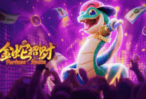 开云足球电脑免费版