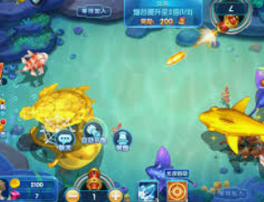 开云足球正式版